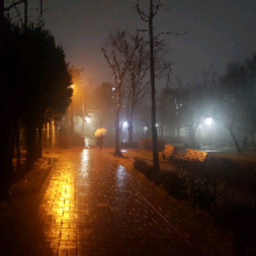 질주본능 질주본능