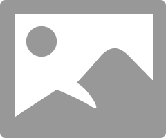 1675062733596.gif