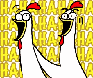 chicken-bro-chicken.gif