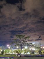 uko6Xoo5f3.jpg