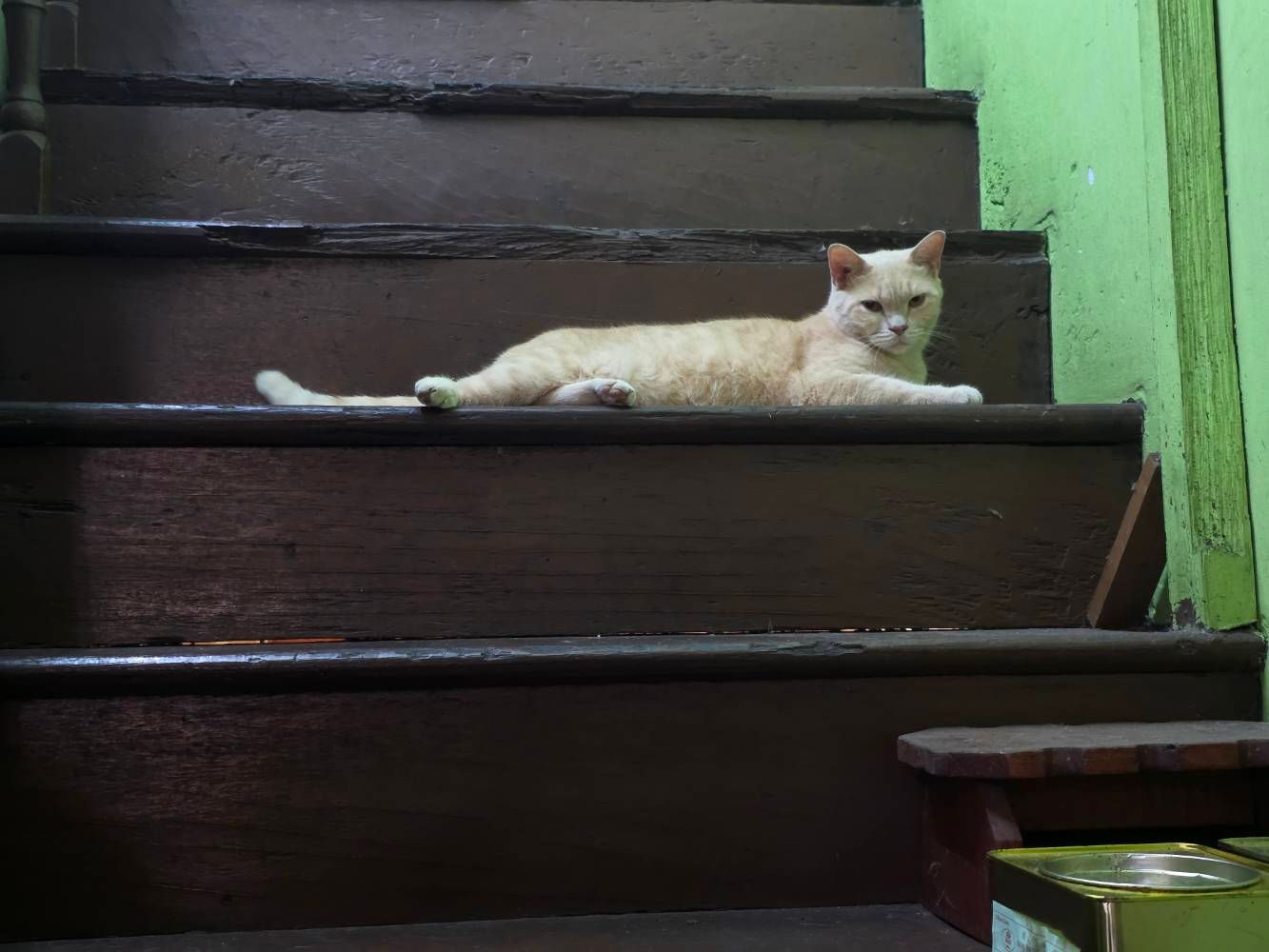 S25 Ultra Camera test - Samsung Members