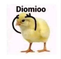 KHiZjMMf3G.jpg