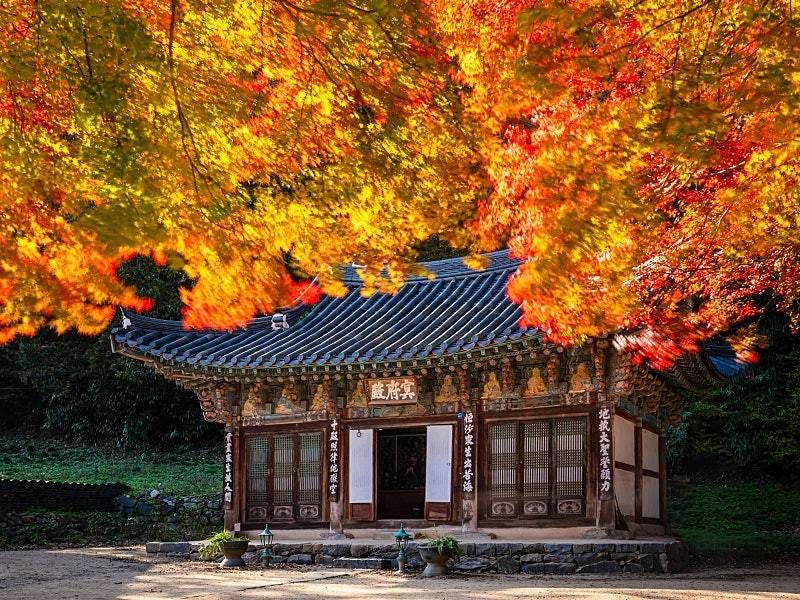 마곡사 전경 2
