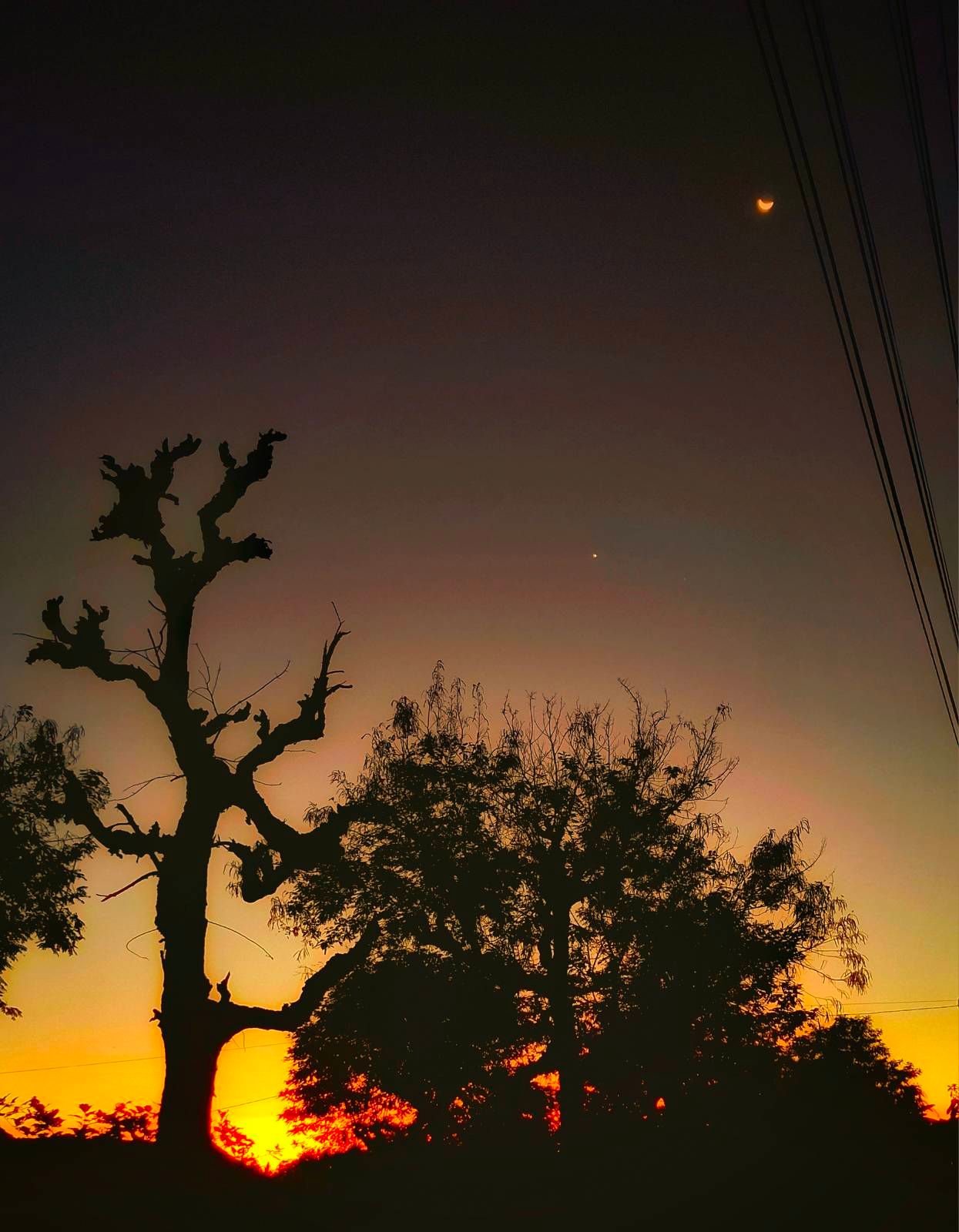 🌞🌛 - Samsung Members