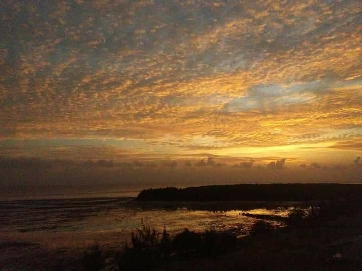 warna kuning keemasan sangat keren#BoldTheColorsYo... - Samsung Members