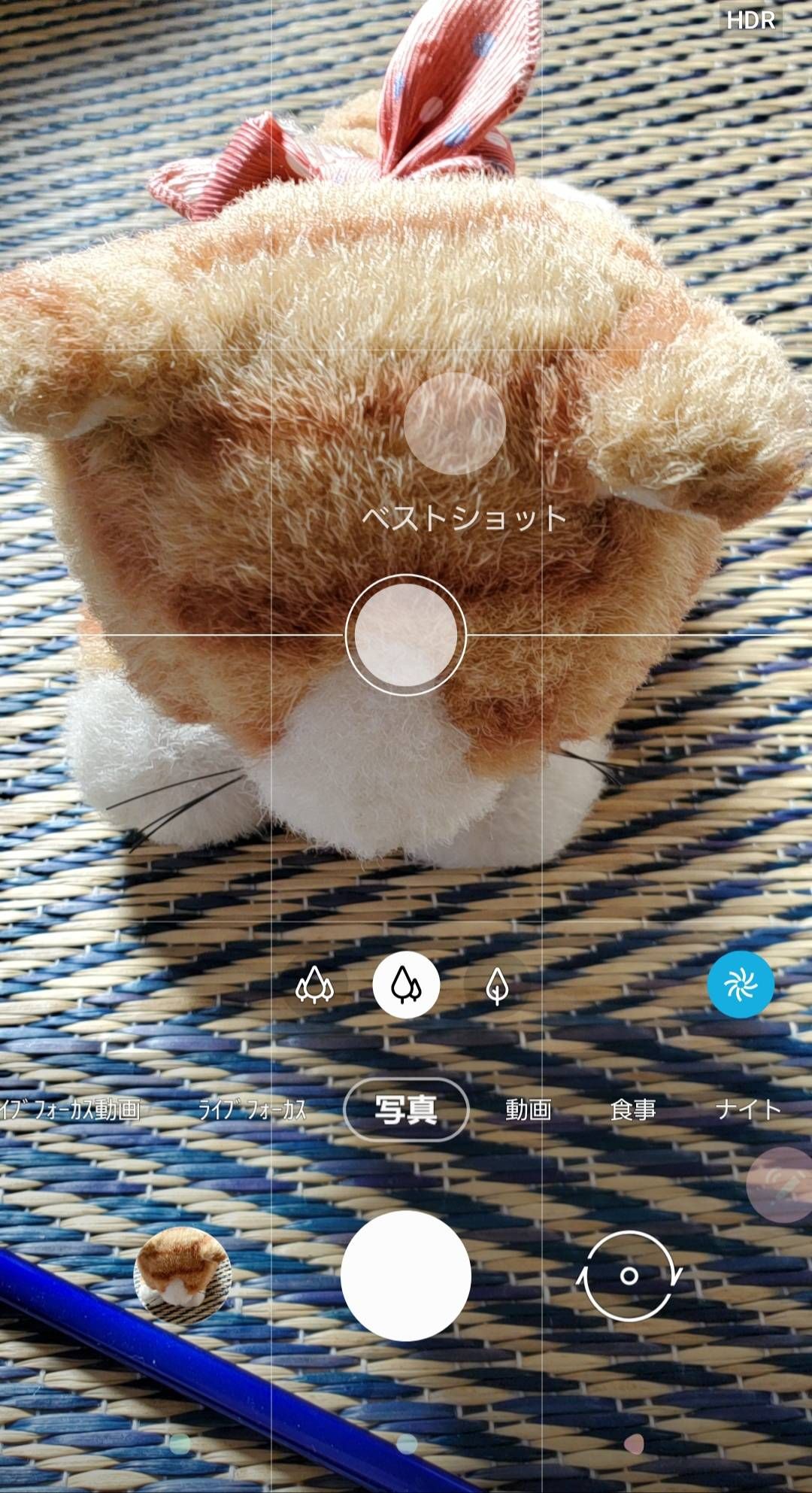 Galaxy ネコモード Samsung Members