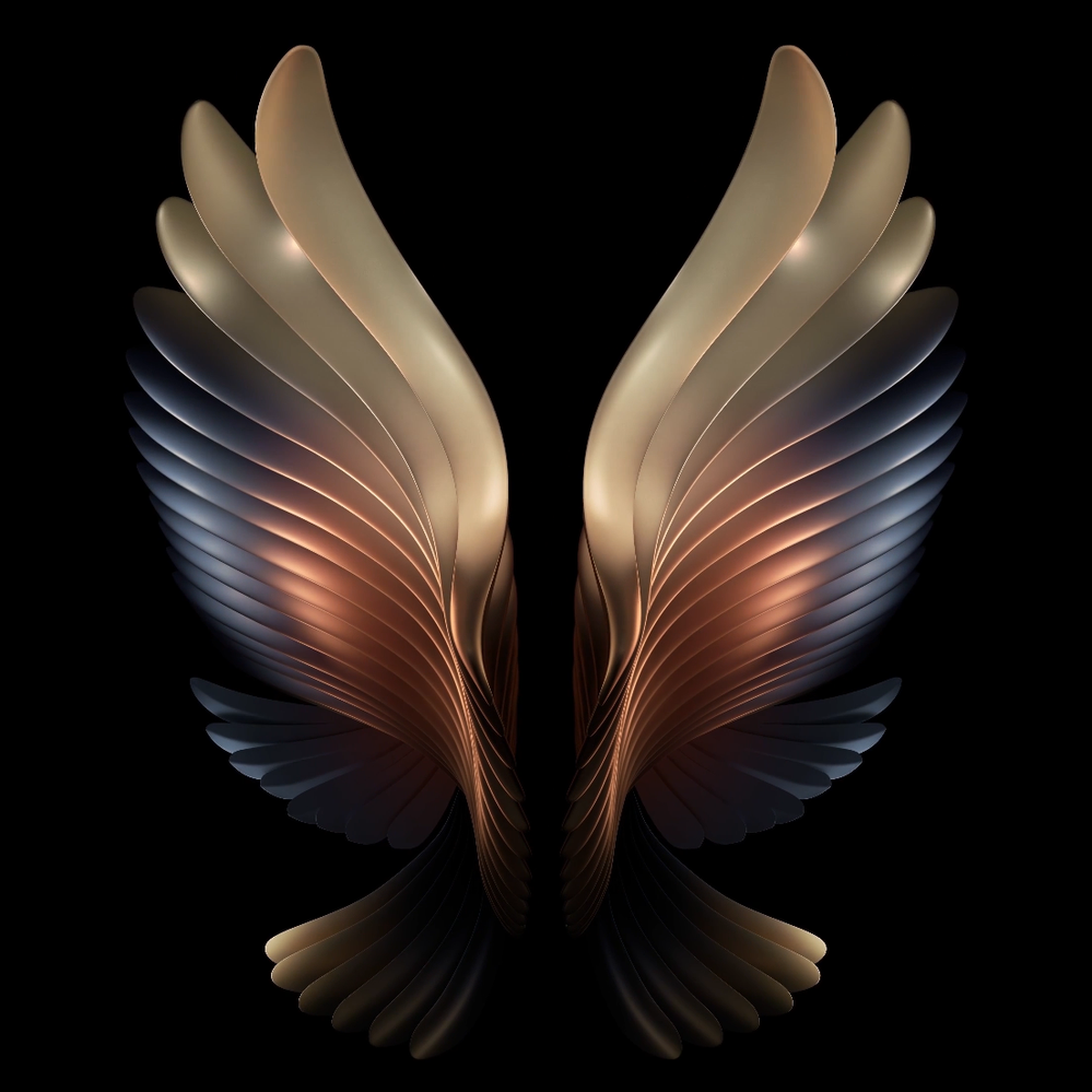 image image