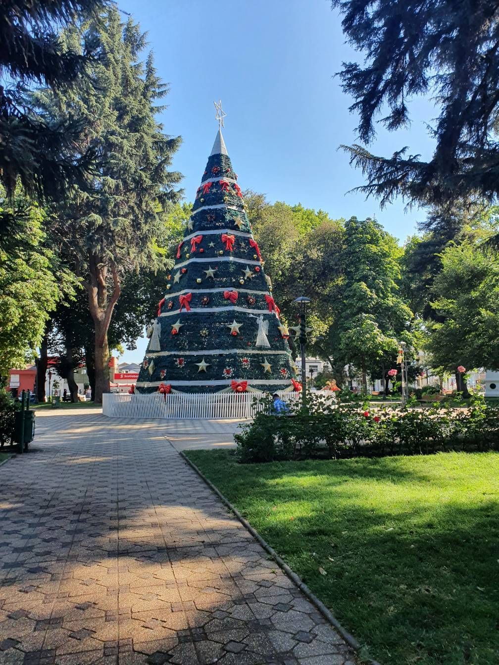 Plaza De Armas De Linares Chile Samsung Members