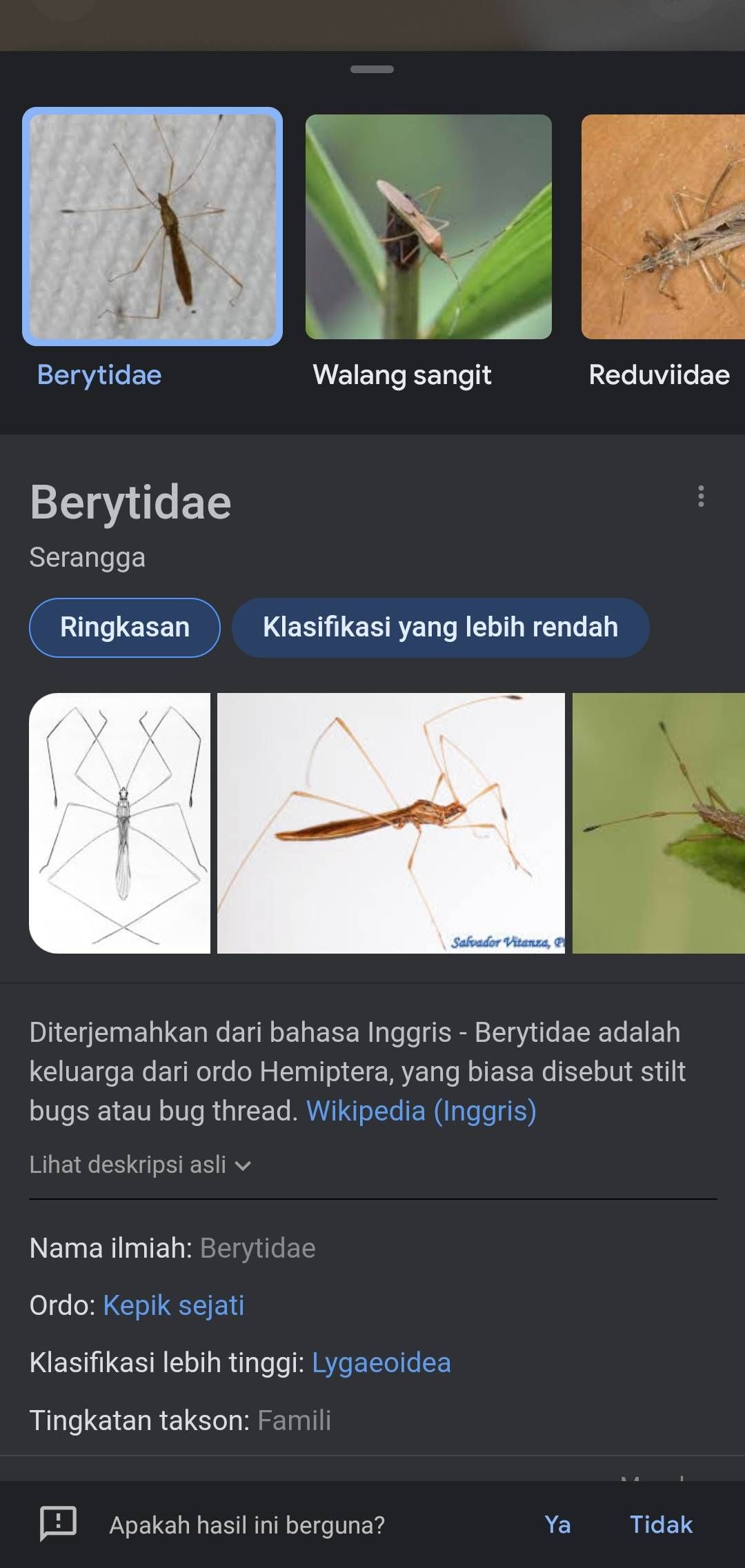 I Don T Know Samsung Members
