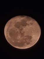 20200904_194532_1238.jpg
