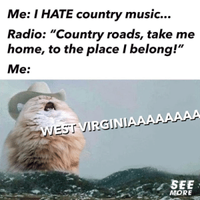 thumb_me-i-hate-country-music-radio-country-roads-take-me-64611859_21249.png
