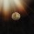 moonflare