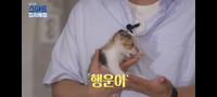 Screenshot_20211001-235547_YouTube.jpg