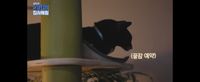 Screenshot_20211008-021203_YouTube.jpg