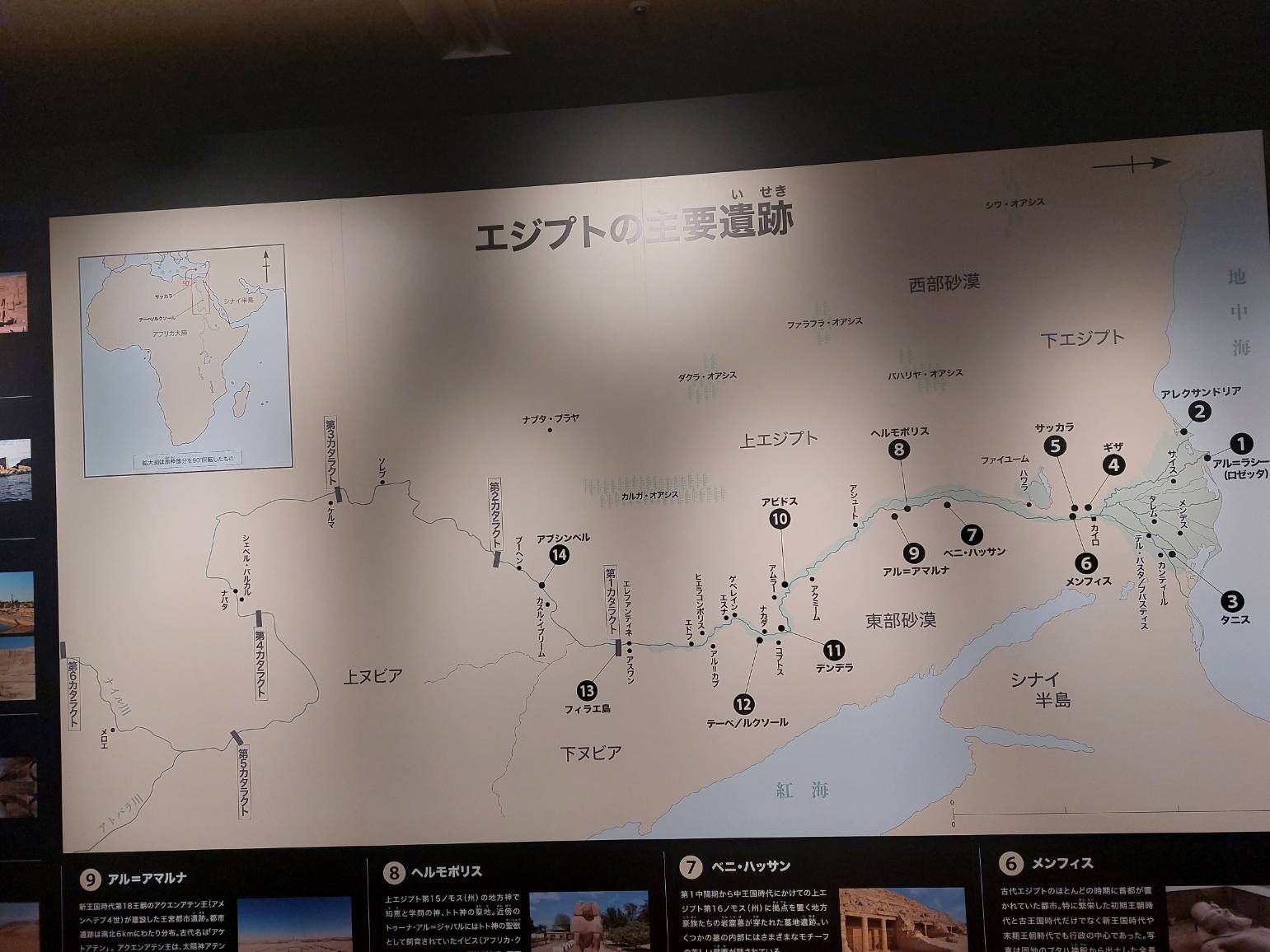 国立科学博物館 Samsung Members