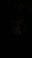 20211026_192512_11318.jpg