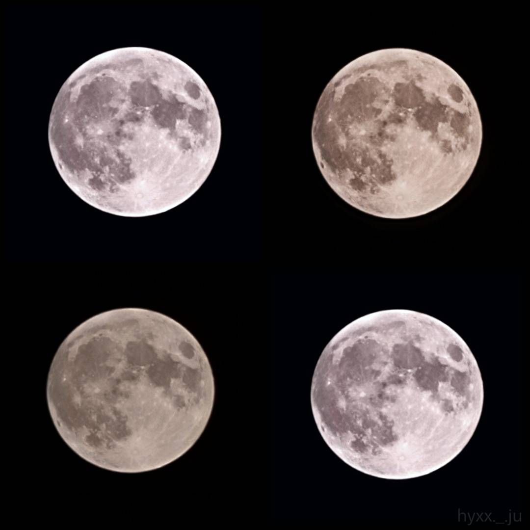 달 🌕 - Samsung Members 달 🌕