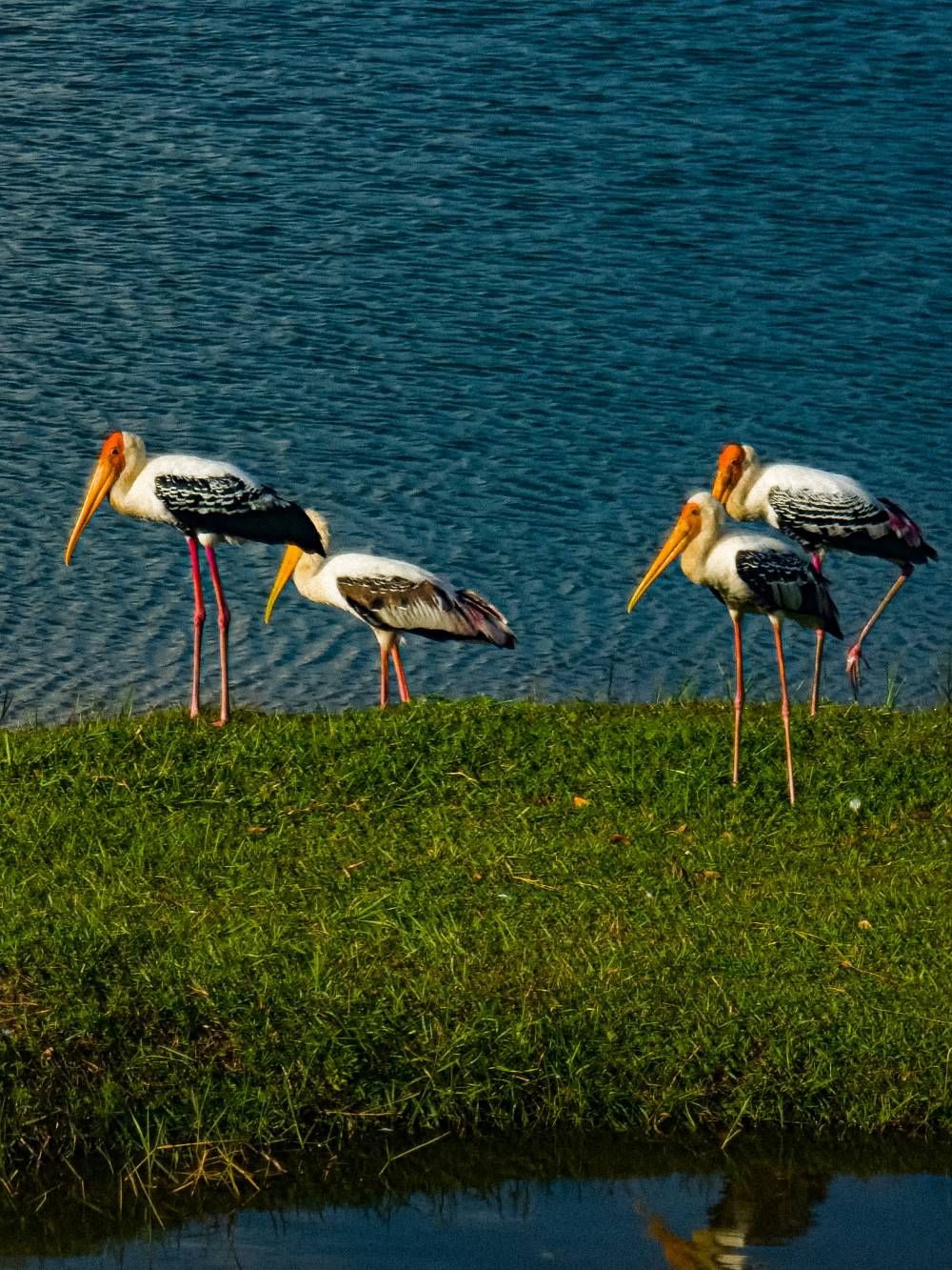 Expert Raw by s21 ultra Samsung Members