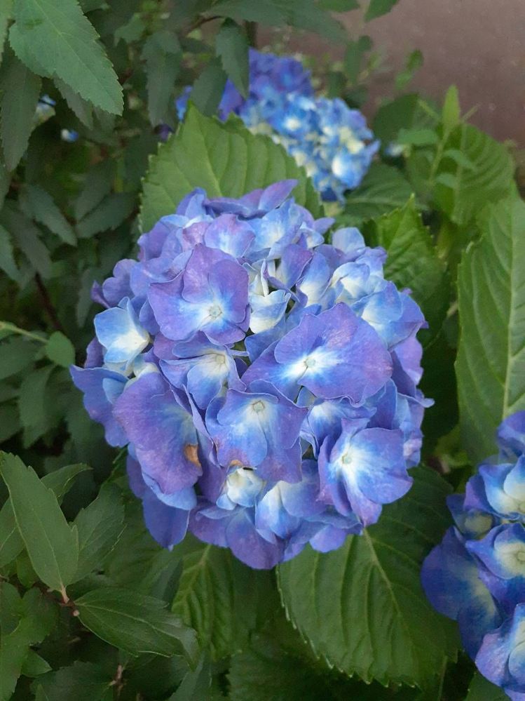 image image
