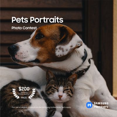 4 Jul- FBP_CatDog_Pets Portrait-05.jpg