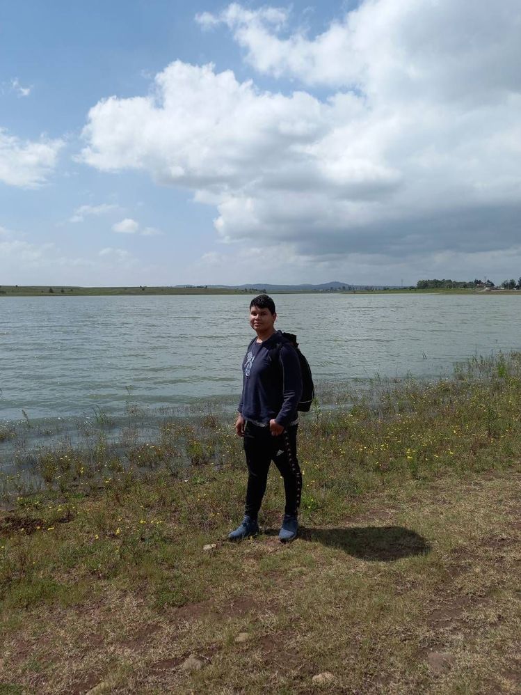 image image