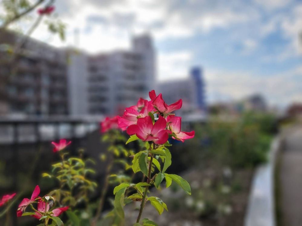image image