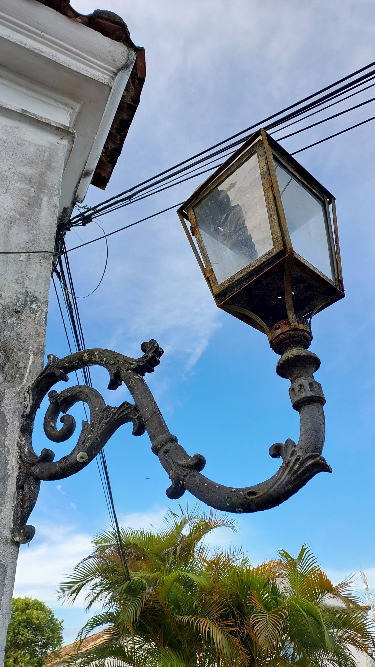 Algumas fotos tiradas pelo Galaxy M52 5g. O que ac... - Samsung Members