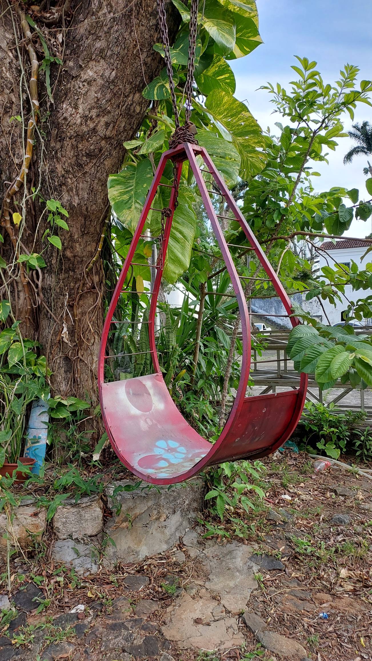 Algumas fotos tiradas pelo Galaxy M52 5g. O que ac... - Samsung Members