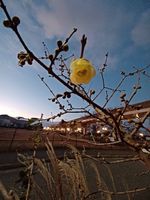 20221224_063918_1000000993_1671831560.jpg