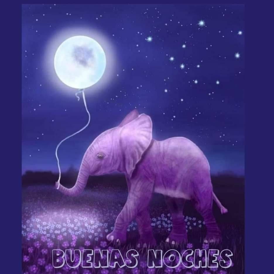 Buenas noches - Samsung Members, image size:936x936