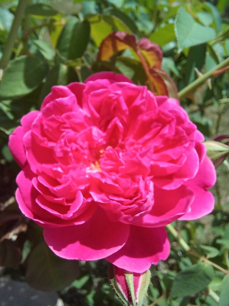 image image
