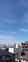 20230122_130139_1000000574_1674360100.jpg