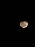 20230208_232001_1000028598_1675920005.jpg