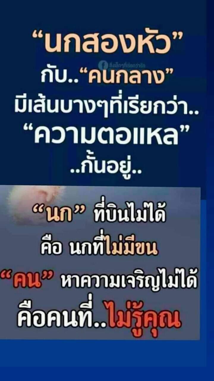 คำคม - Samsung Members, image size:720x1280