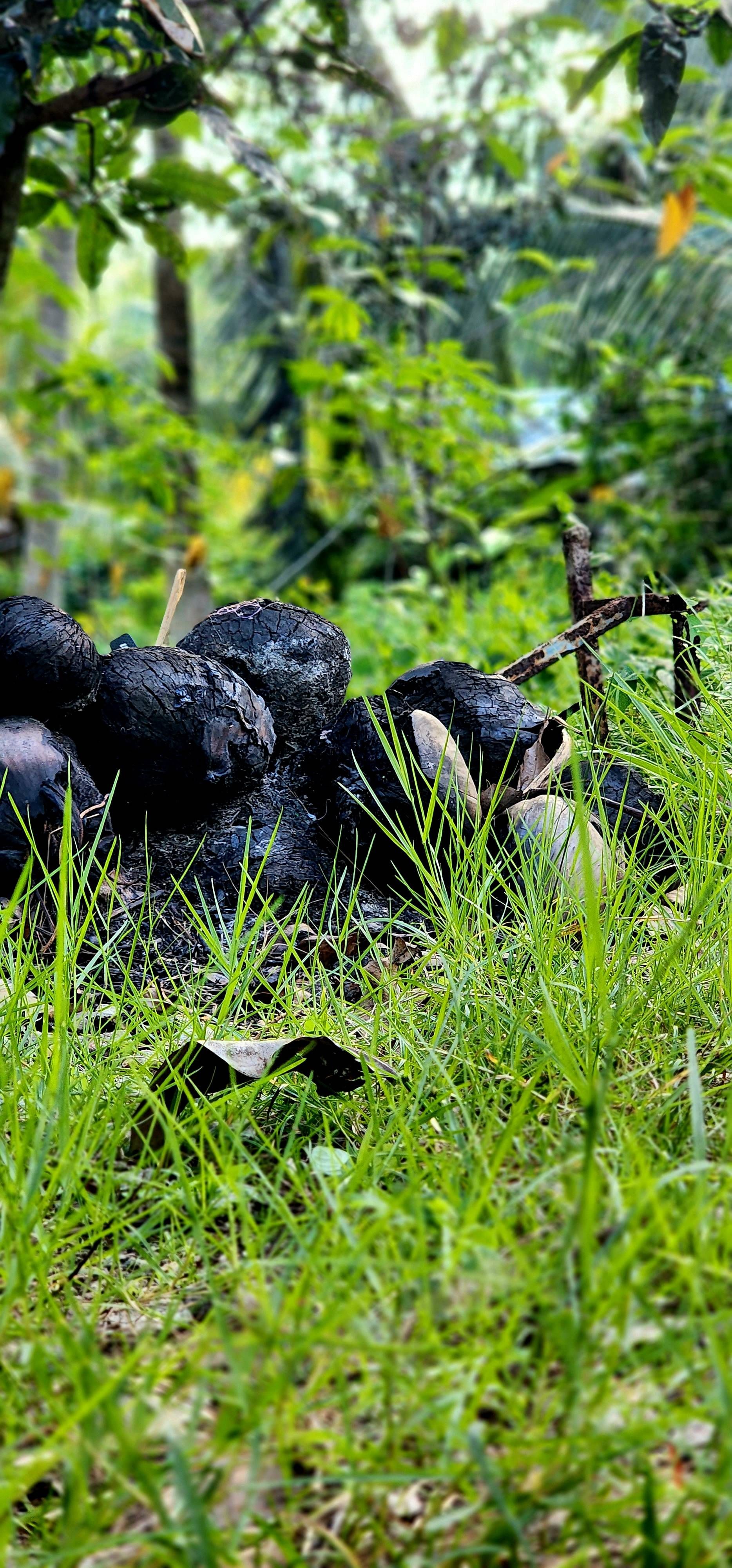 S22 Ultra Still Power... Samsung Members