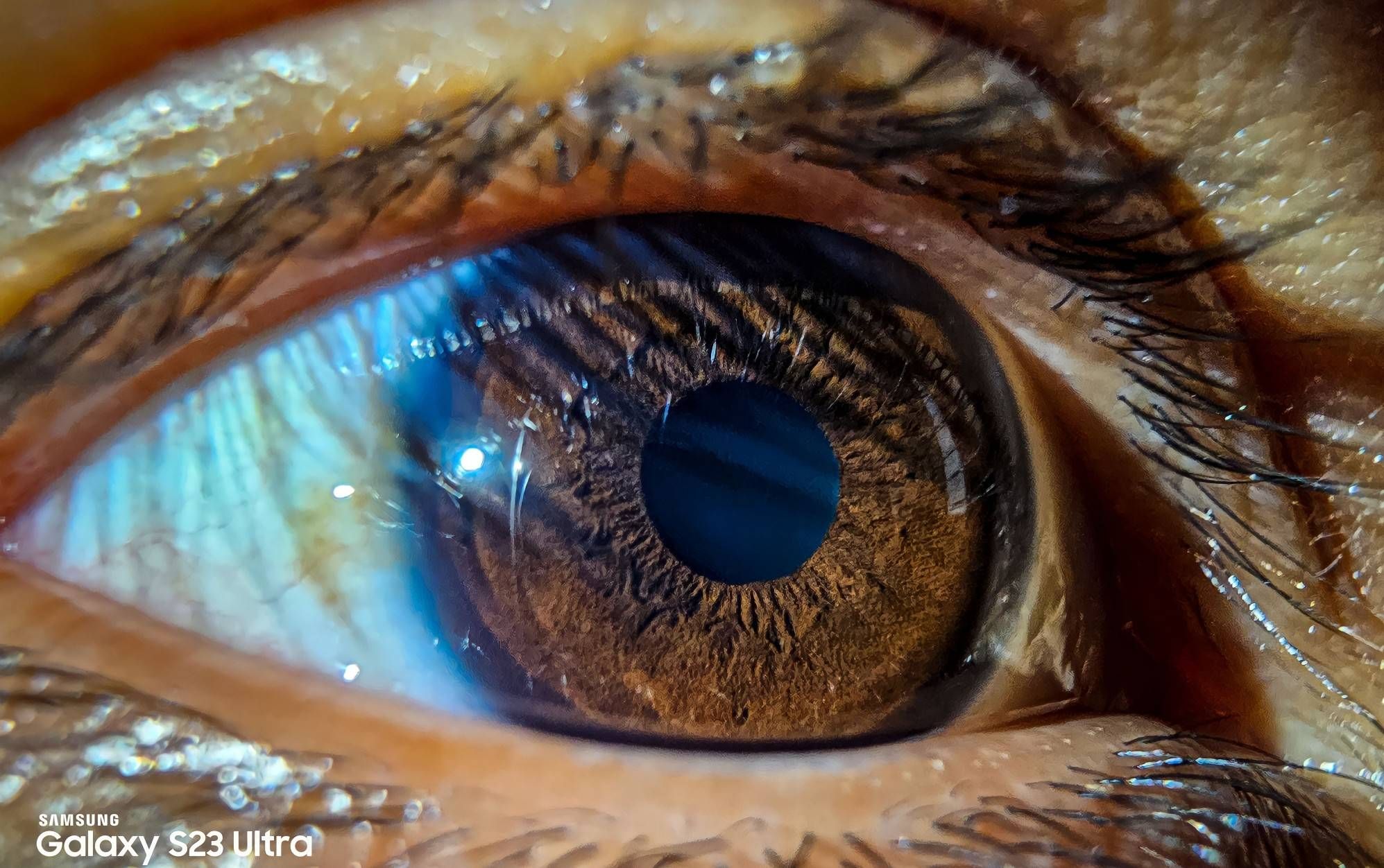 Samsung Electronics Macro Shots Galaxy S21 Ultra Macro I Guess It