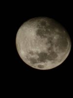 20230305_023812_1000004088_1677994694.jpg 20230305_023812_1000004088_1677994694.jpg