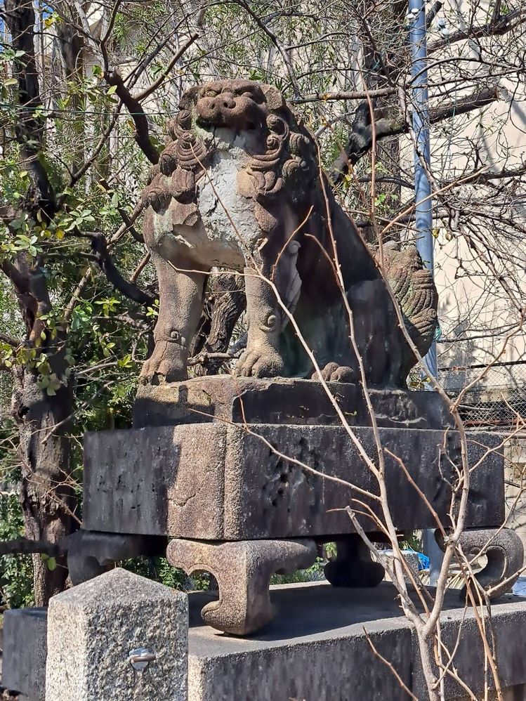image image