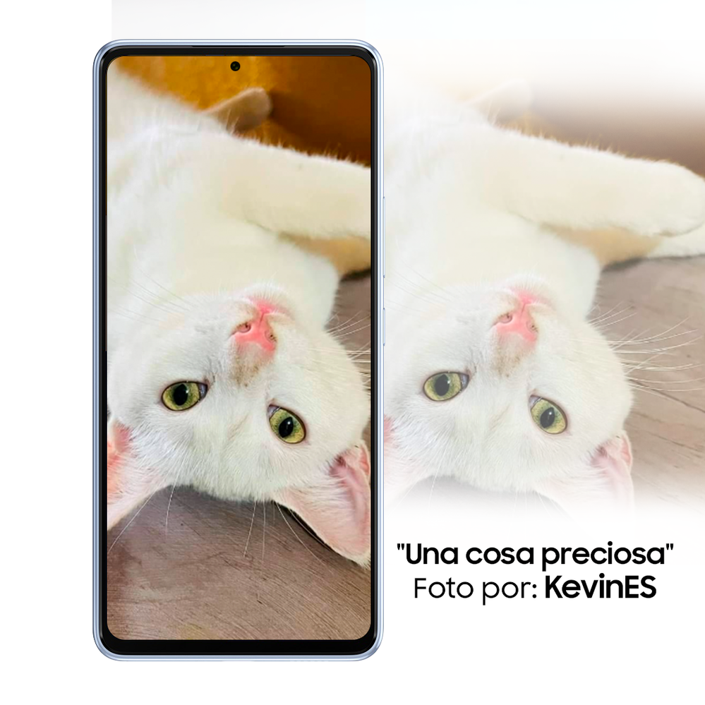 1 copy4.png