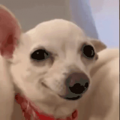 Moderadora_Camila_17-1678471396227.gif