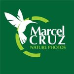 Marcelcruz