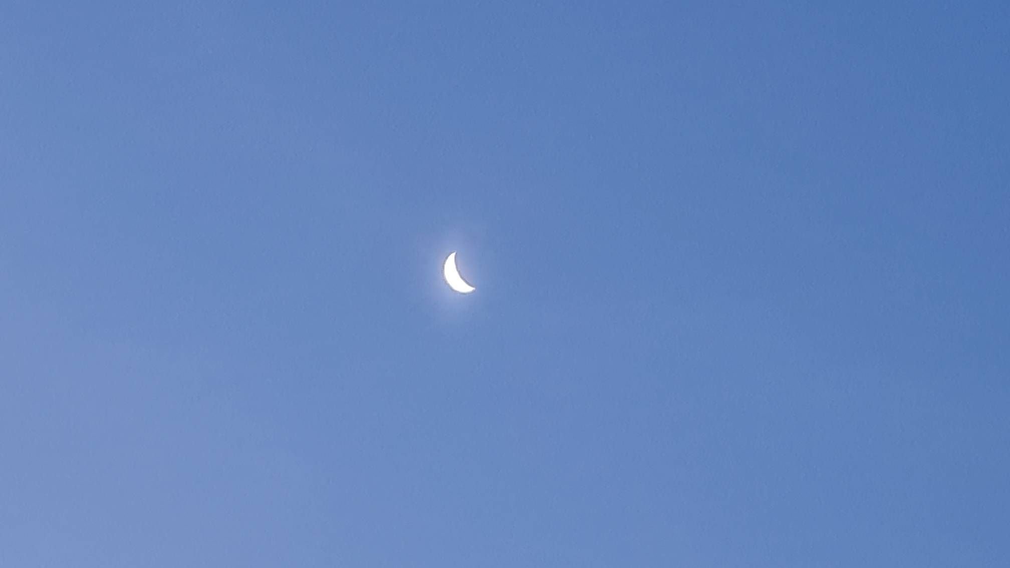 Lua - Samsung Members