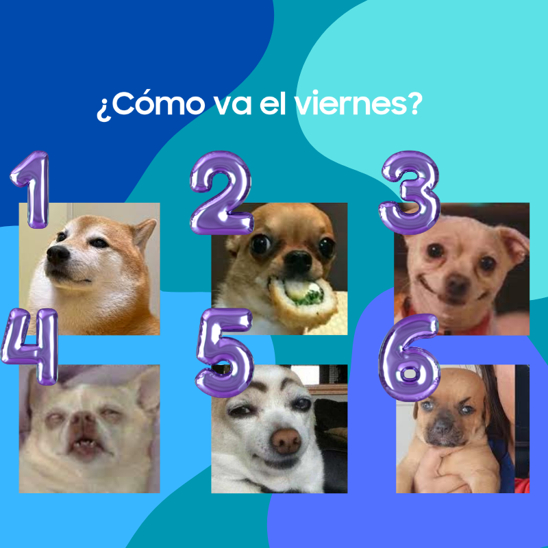 Comunidad.png