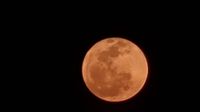 20230505_200436_1000021592_1683338684.jpg 20230505_200436_1000021592_1683338684.jpg