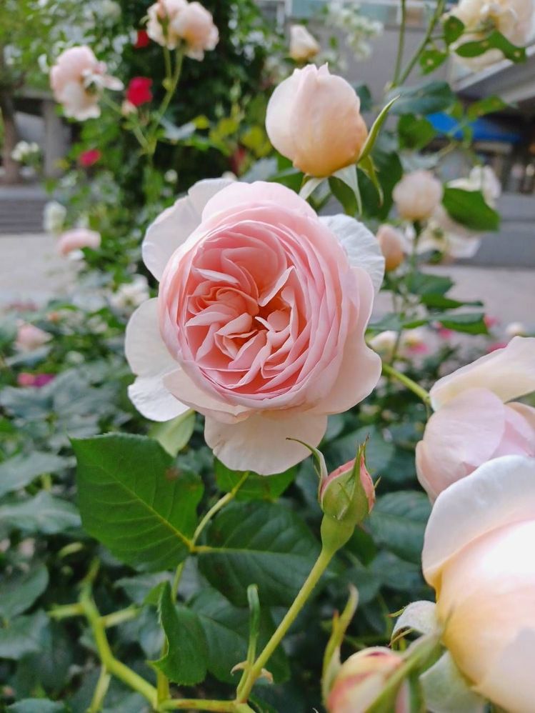 image image