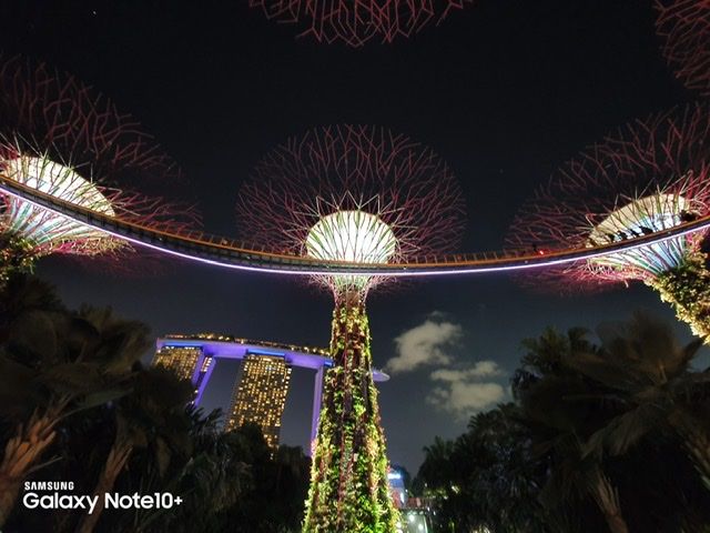 Garden by The Bay, Singapore