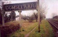 sdomselaar-carteloriginal_1000116053_1687067135.jpg