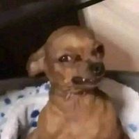 20230812_212555_1000016007_1691889955.jpg