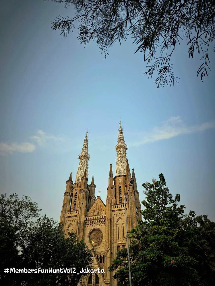 image image