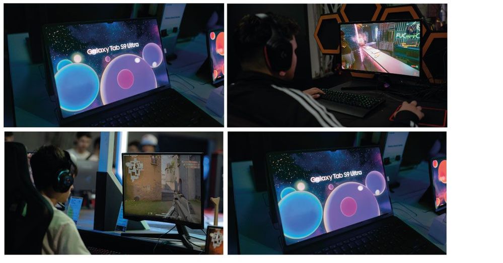 dsfs.jpg